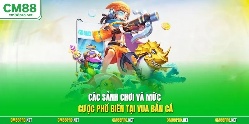 Các sảnh chơi và mức cược phổ biến tại vua bắn cá