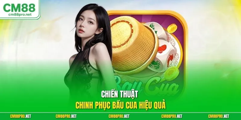 Chiến thuật chinh phục bầu cua hiệu quả
