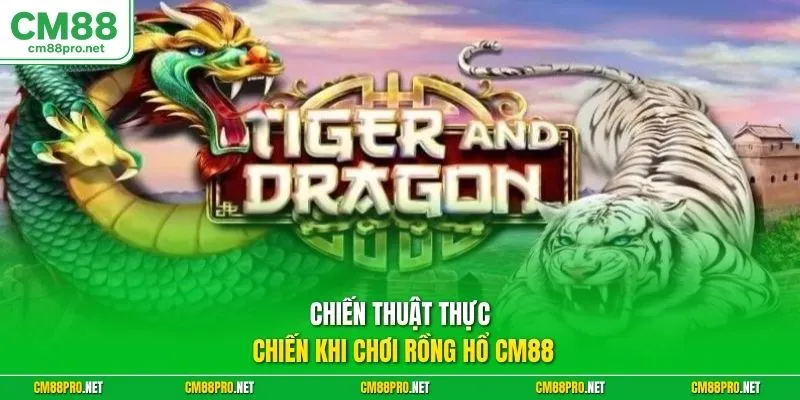 Chiến thuật thực chiến khi chơi Rồng Hổ CM88