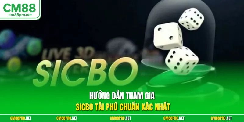 Hướng dẫn tham gia Sicbo tài phú chuẩn xác nhất