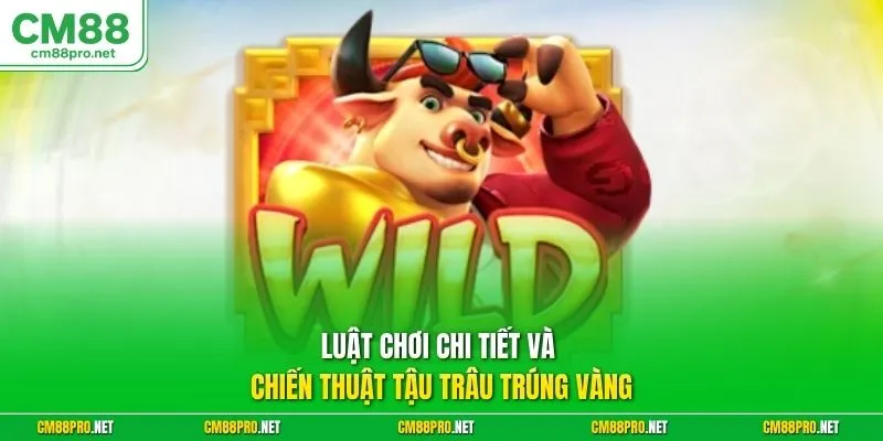 Luật chơi chi tiết và chiến thuật tậu trâu trúng vàng