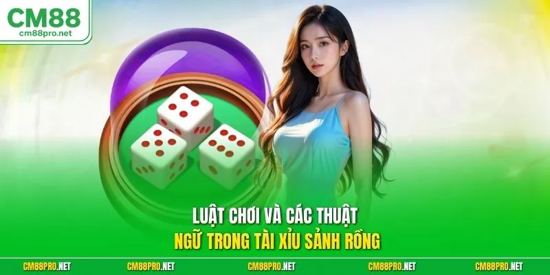 Luật chơi và các thuật ngữ trong tài xỉu sảnh rồng