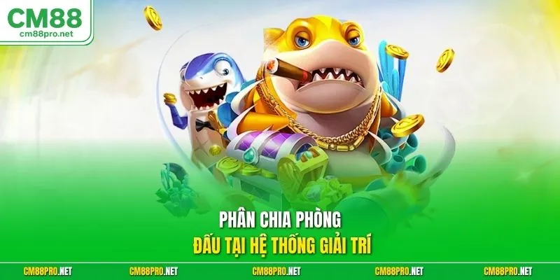 Phân chia phòng đấu tại hệ thống giải trí