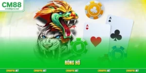 Rồng Hổ