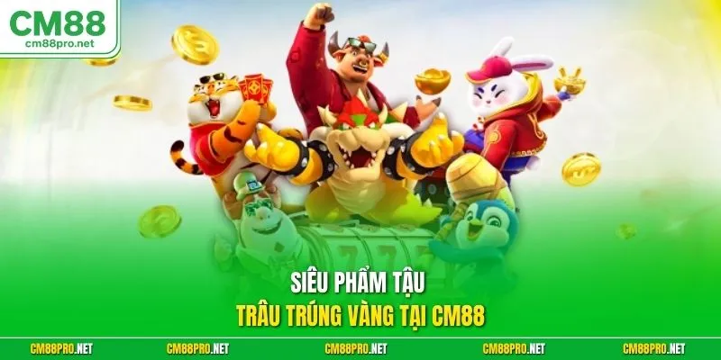 Siêu phẩm Tậu trâu trúng vàng tại CM88
