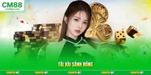 Tài xỉu sảnh rồng