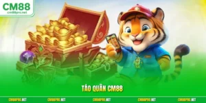 Táo quân
