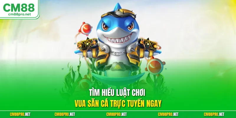Tìm hiểu luật chơi vua săn cá trực tuyến ngay