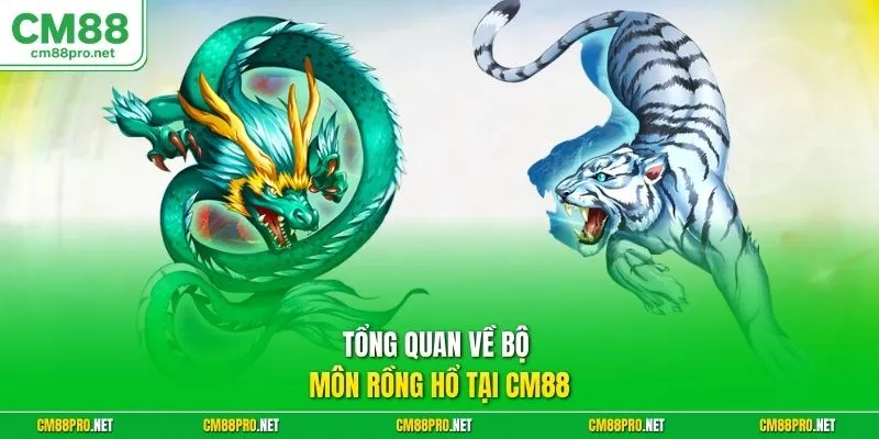 Tổng quan về bộ môn Rồng Hổ tại CM88