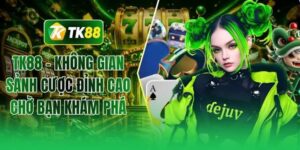 Đá Gà TK88 Theo Dõi Trường Đấu Trực Tuyến Kịch Tính